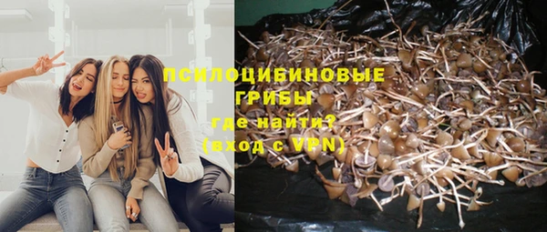 MESCALINE Алзамай