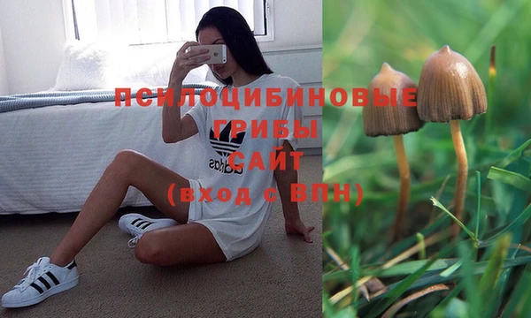 MESCALINE Алзамай
