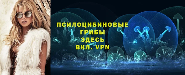 тгк Алексин