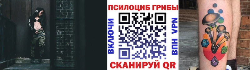 Псилоцибиновые грибы Psilocybe Касимов