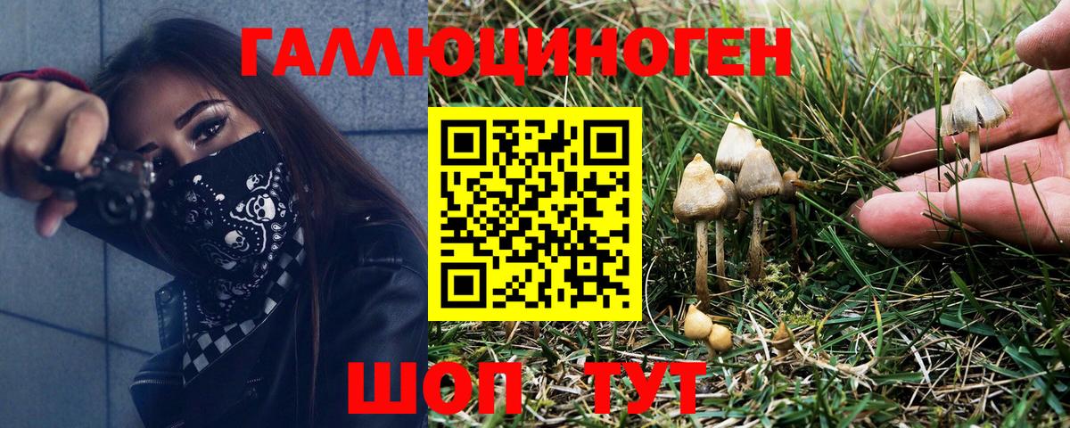 Касимов  Псилоцибиновые грибы мухоморы  Вход с VPN 